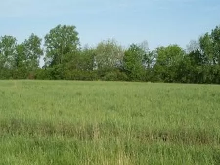 5 Acre Homesite - Reduced Price