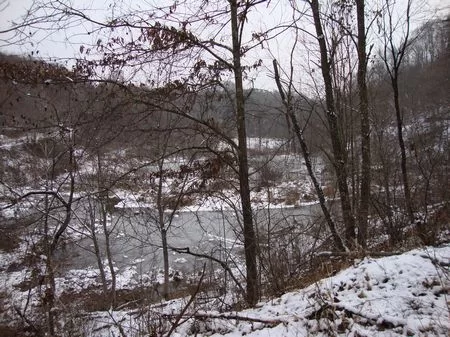 190 Acre Wooded Hunting Lot property photo 1