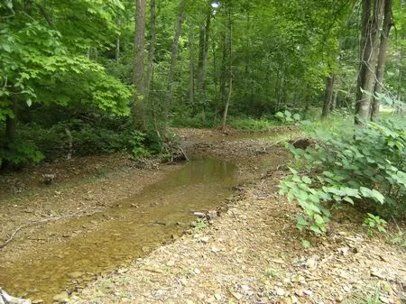 Hunting Land 19 To 65 Acres property photo 1