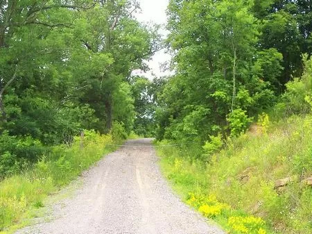 37 Ac. and 27 Ac. Lot W/ Pole Barn