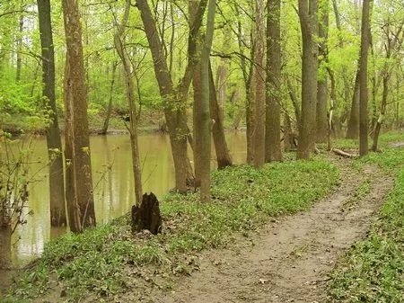 6 Ac. with River Frontage and Woods property photo 1