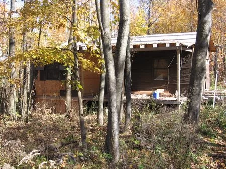 5 Wooded Acres property photo 1