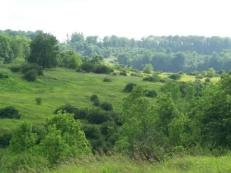 91 Acres with Pond, Woods, & Meadow property photo 1