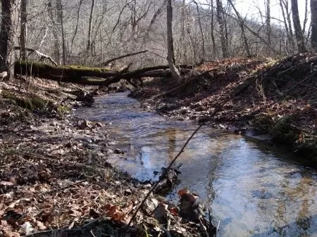 Rockbridge Woods Multi Purpose Land