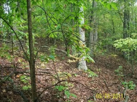 60ac Touches Wildlife Area property photo 1
