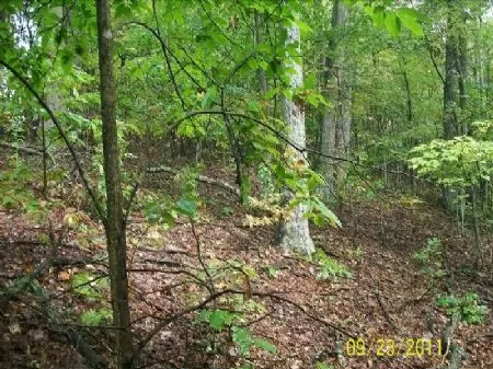 60ac Touches Wildlife Area