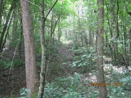 61 Acre Wooded Tract property photo 1
