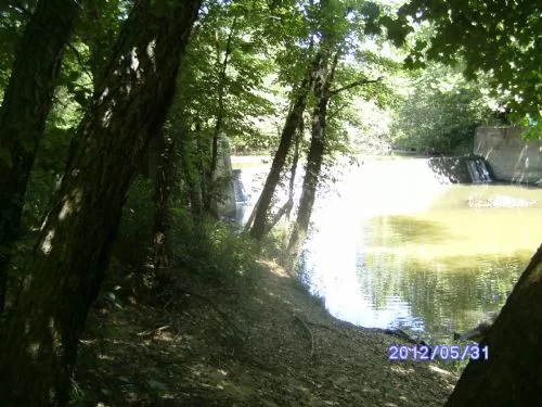 Cabin and 32 Acres property photo 1