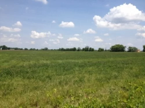 Tillable 5acres in Corn Country property photo 1