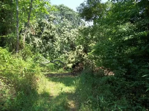 43+ Acres Recreational Land