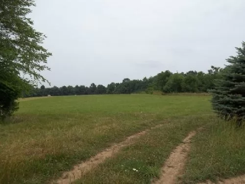 5 Acre Home Site property photo 1