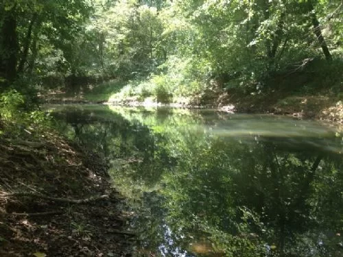 Raccoon Creek zeleski property photo 1