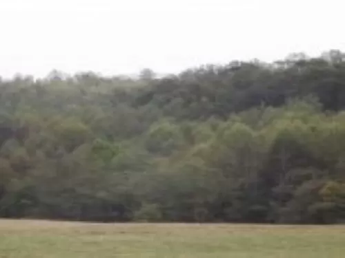 34 Acres Beautiful Views