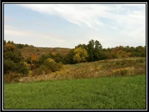Acreage On Salt Fork State Park