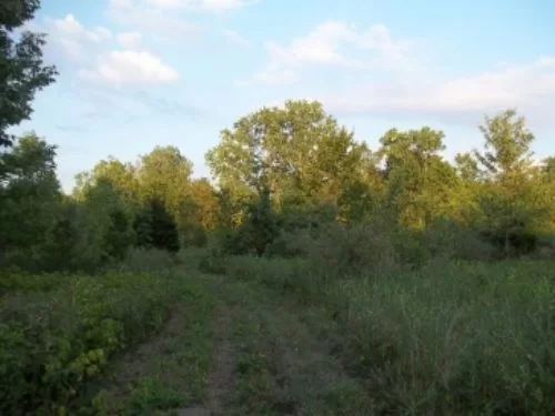 Excellent Hunting/tillable Acreage property photo 1