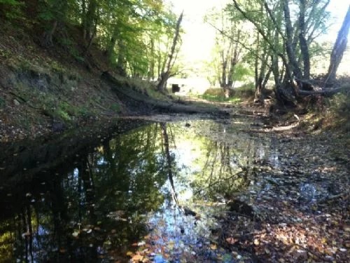 9 Acres On Raccoon Creek property photo 1