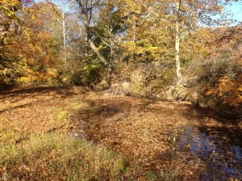24 Acre Scenic Property property photo 1