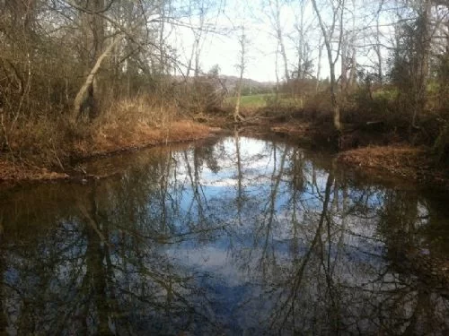 51 Ac Awesome Creek and Pasture property photo 1