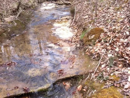 Very Remote 600 Acres property photo 1