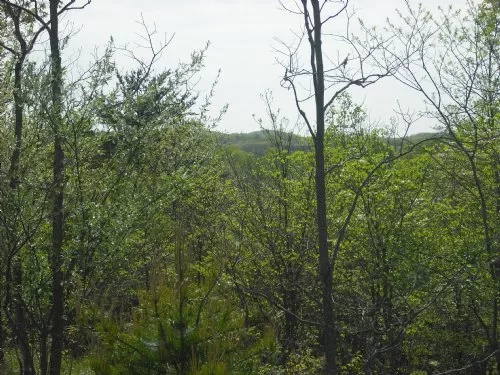 Antler Ridge property photo 1
