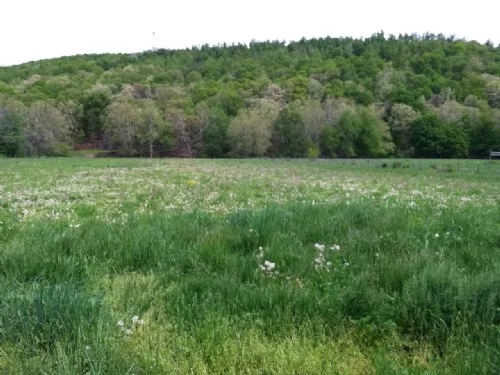 Black Barn Farm property photo 1