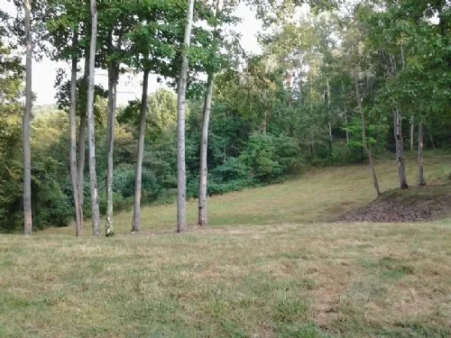 West Buckingham property photo 1