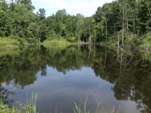 White Hollow Road property photo 1