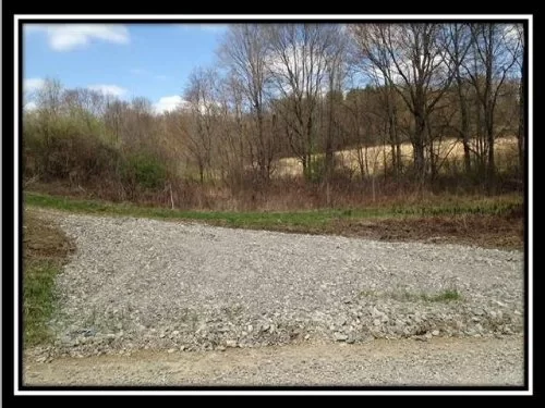 36.76 Ac On Perry State Forest property photo 1