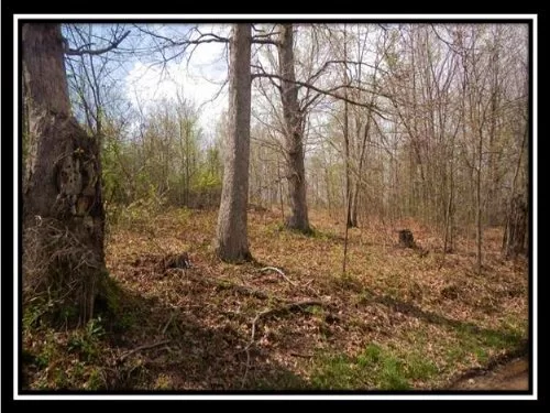9+ Acre Mini Farm Land property photo 1