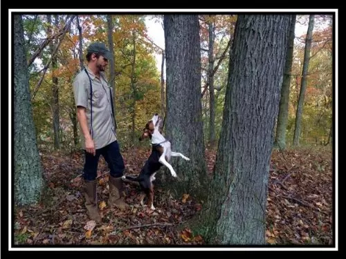 57 Acres Of Marketable Timber