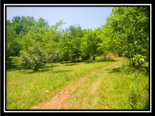 20 Acre Getaway property photo 1