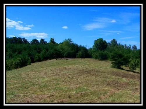 13 Acres Fairveiw Passage property photo 1