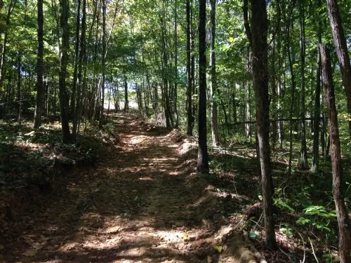 46 Acres Of Rolling Hills property photo 1