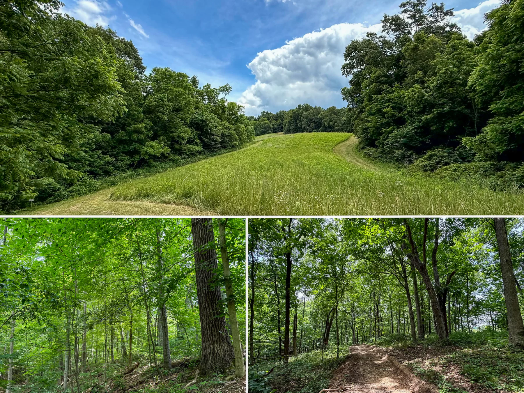 Tract 8 at Jackson Oaks property photo 1