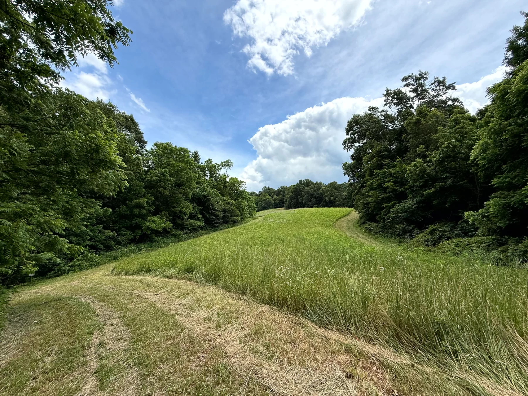 Tract 8 at Jackson Oaks property photo 12